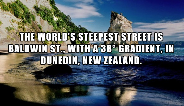 26 Facts About New Zealand You Probably Didn't Know