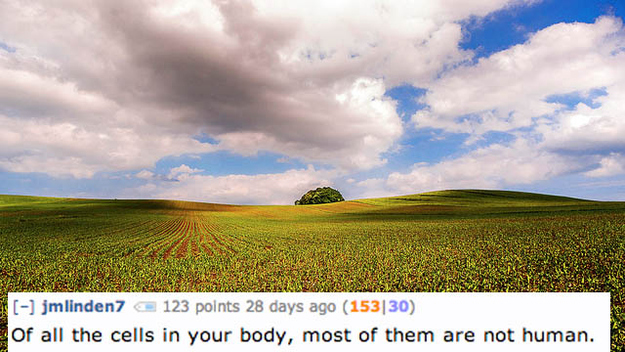 grassland - Yake jmlinden7 123 points 28 days ago 15330 of all the cells in your body, most of them are not human.