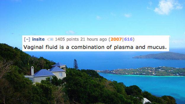 sky - insite 1405 points 21 hours ago 2007|616 Vaginal fluid is a combination of plasma and mucus.