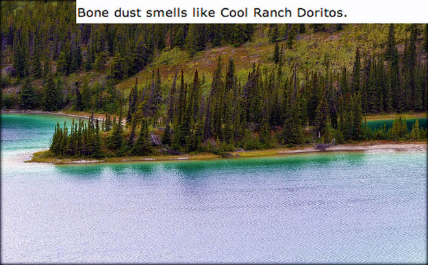emerald lake - Bone dust smells Cool Ranch Doritos.