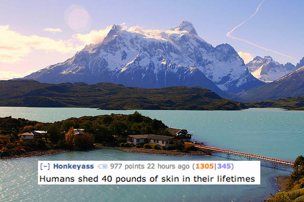 torres del paine national park - Honkeyass 977 points 22 hours ago 13051345 Humans shed 40 pounds of skin in their lifetimes