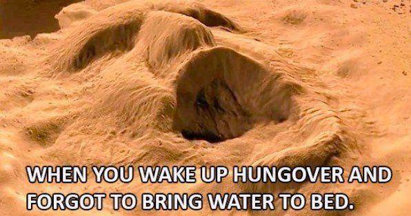 18 Photos That'll Help You Survive Your Latest Hangover