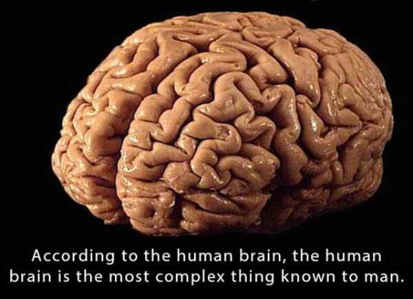 25 Mind Blowing Facts You Probably Never Thought About
