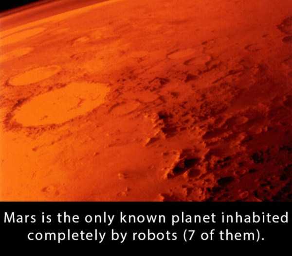 25 Mind Blowing Facts You Probably Never Thought About