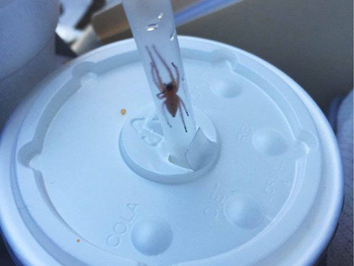 22 Servings Of Nope That Will Make You Cringe