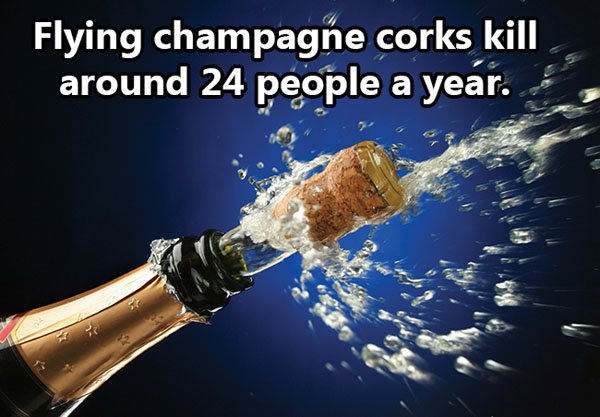 champagne cork popping - Flying champagne corks kill around 24 people a year.