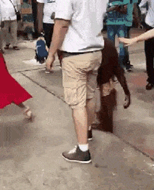 35 Excellent GIFs That Will Definitely Keep You Entertained
