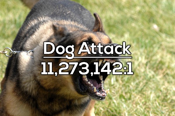 Barking dog with stats that 1 in 11,273,142 people die from dog attacks.