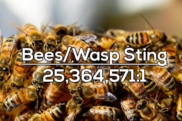 Chances of dying from a bee or wasp sting is 1 in 25,364,571