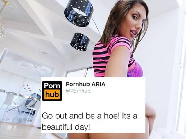 13 Funny Pornhub Comments That Will Make You Laugh