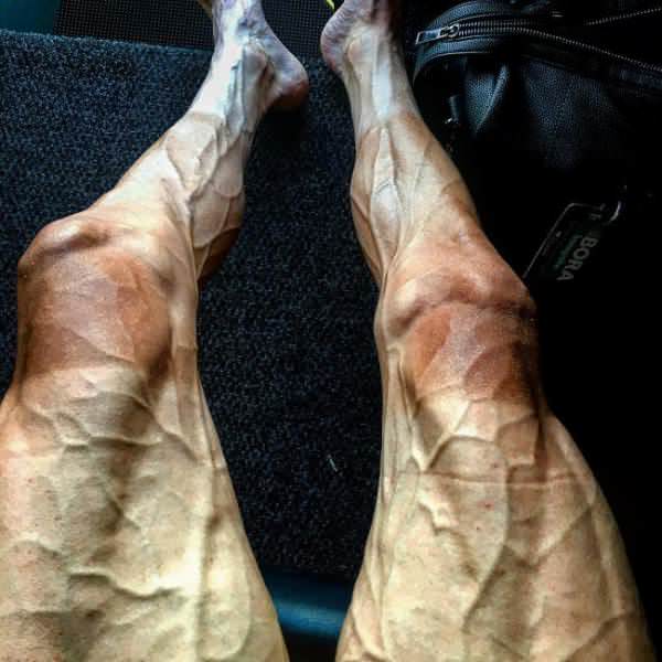 Cyclist Paweł Poljański’s legs after 16 race stages of the Tour de France.