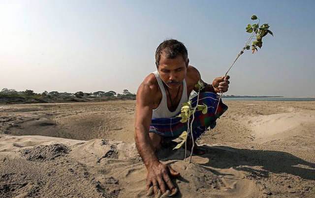 Environmentalist Jadav Payeng has been planting trees for 37 years.