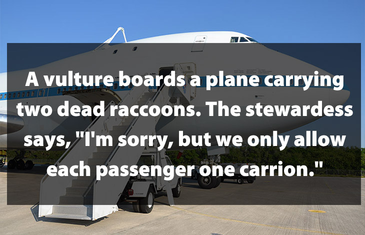 so stupid its funny jokes - 01711122 A vulture boards a plane carrying two dead raccoons. The stewardess says, "I'm sorry, but we only allow each passenger one carrion."