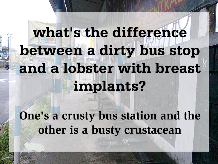 funny dumb jokes - what's the difference between a dirty bus stop and a lobster with breast implants? One's a crusty bus station and the other is a busty crustacean