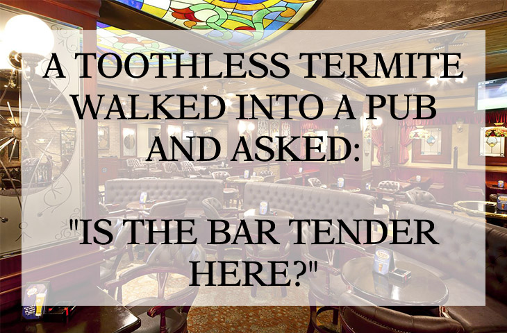 Joke - A Toothless Termite Walked Into A Pub And Asked 1 3 "Is The Bar Tender Here?"