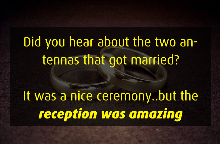 dumb funny jokes - Did you hear about the two an tennas that got married? It was a nice ceremony..but the reception was amazing