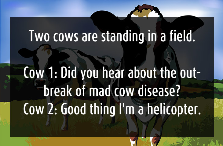 stupid jokes - 'Two cows are standing in a field. Cow 1 Did you hear about the out 'break of mad cow disease? Cow 2 Good thing I'm a helicopter.