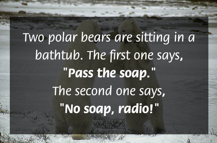 creative jokes - Two polar bears are sitting in a bathtub. The first one says, "Pass the soap." The second one says, "No soap, radio!"
