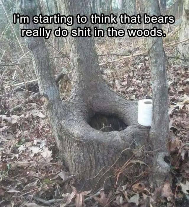 bear shit in the woods meme - I'm starting to think that bears A really do shit in the woods.