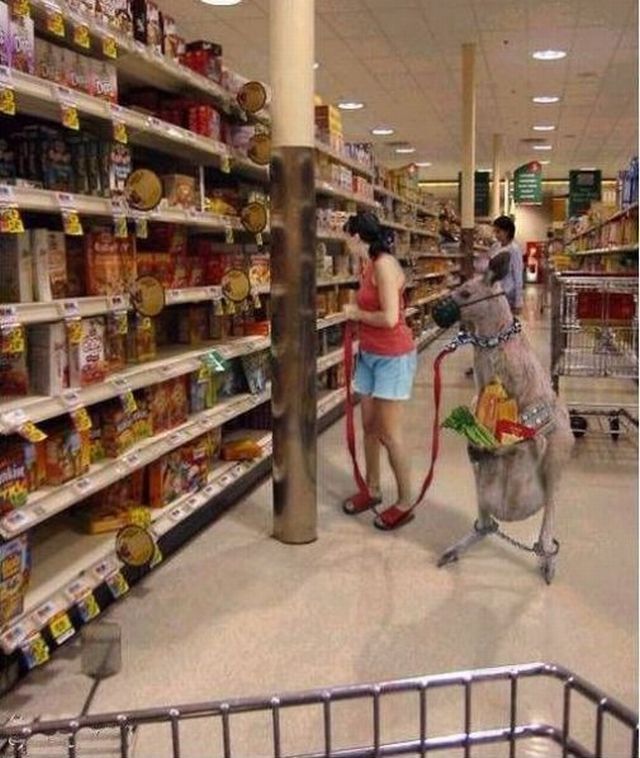 33 Pics of the Weird Sh*t You'll See While Shopping In Public