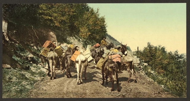 wild west pack mule 1800s