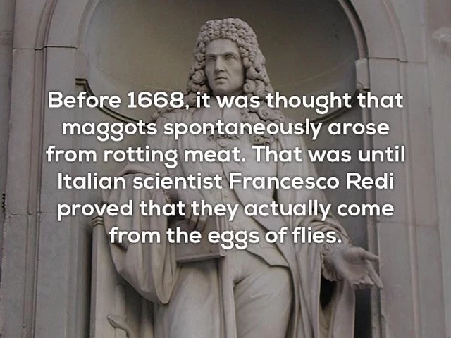 statue - Before 1668, it was thought that maggots spontaneously arose from rotting meat. That was until Italian scientist Francesco Redi proved that they actually come from the eggs of flies.