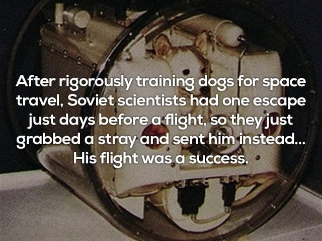 sputnik 2 diagram - After rigorously training dogs for space travel, Soviet scientists had one escape just days before a flight, so they just grabbed a stray and sent him instead... His flight was a success.