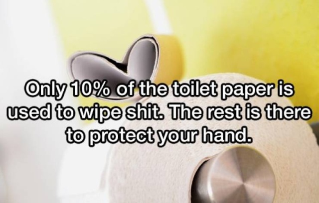 close up - Only 10% of the toilet paper is used to wipe shit. The rest is there to protect your hand.