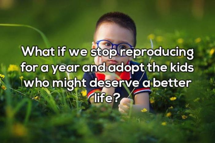 What if we stop reproducing for a year and adopt the kids who might deserve a better clife?