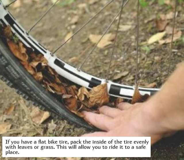 track - If you have a flat bike tire, pack the inside of the tire evenly with leaves or grass. This will allow you to ride it to a safe place.