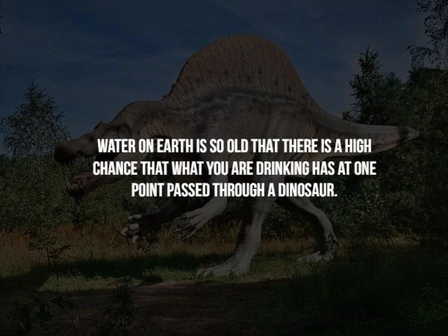 scary facts - Water On Earth Is So Old That There Is A High Chance That What You Are Drinking Has At One Point Passed Through A Dinosaur.