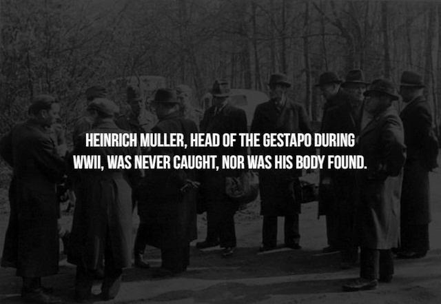 german gestapo - Heinrich Muller. Head Of The Gestapo During Wwii, Was Never Caught, Nor Was His Body Found.