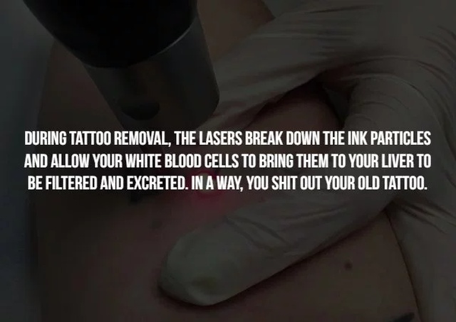 leg - During Tattoo Removal, The Lasers Break Down The Ink Particles And Allow Your White Blood Cells To Bring Them To Your Liver To Be Filtered And Excreted. In A Way, You Shit Out Your Old Tattoo.