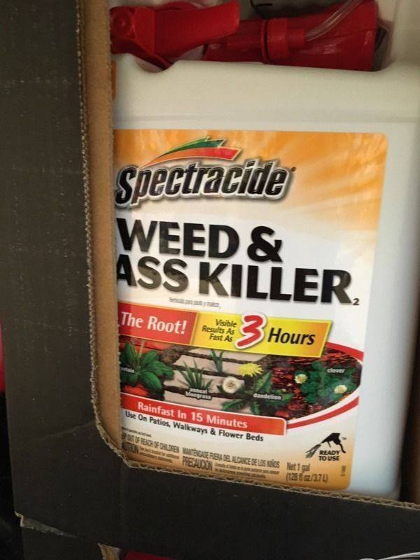 snack - Spectracide Weed & Ass Killer The Root! Visible Results As Fast As 3 Hours Rainfast In 15 Minutes Use On Patios, Walkways & Flower Beds Cance De Los Res Ne Ready To Use U