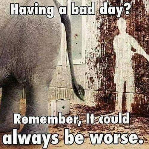 things could always be worse - Having a bad day? Remember, It could always be worse.