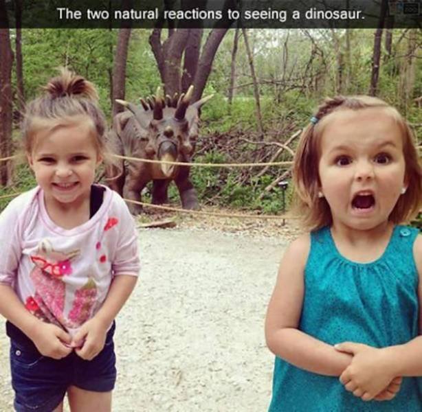 two types of women - The two natural reactions to seeing a dinosaur.