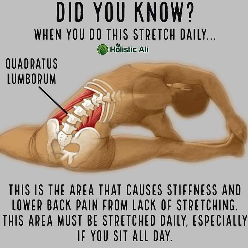 did you know stretching - Did You Know? When You Do This Stretch Daily... Holistic Ali Quadratus Lumborum This Is The Area That Causes Stiffness And Lower Back Pain From Lack Of Stretching. This Area Must Be Stretched Daily, Especially If You Sit All Day.