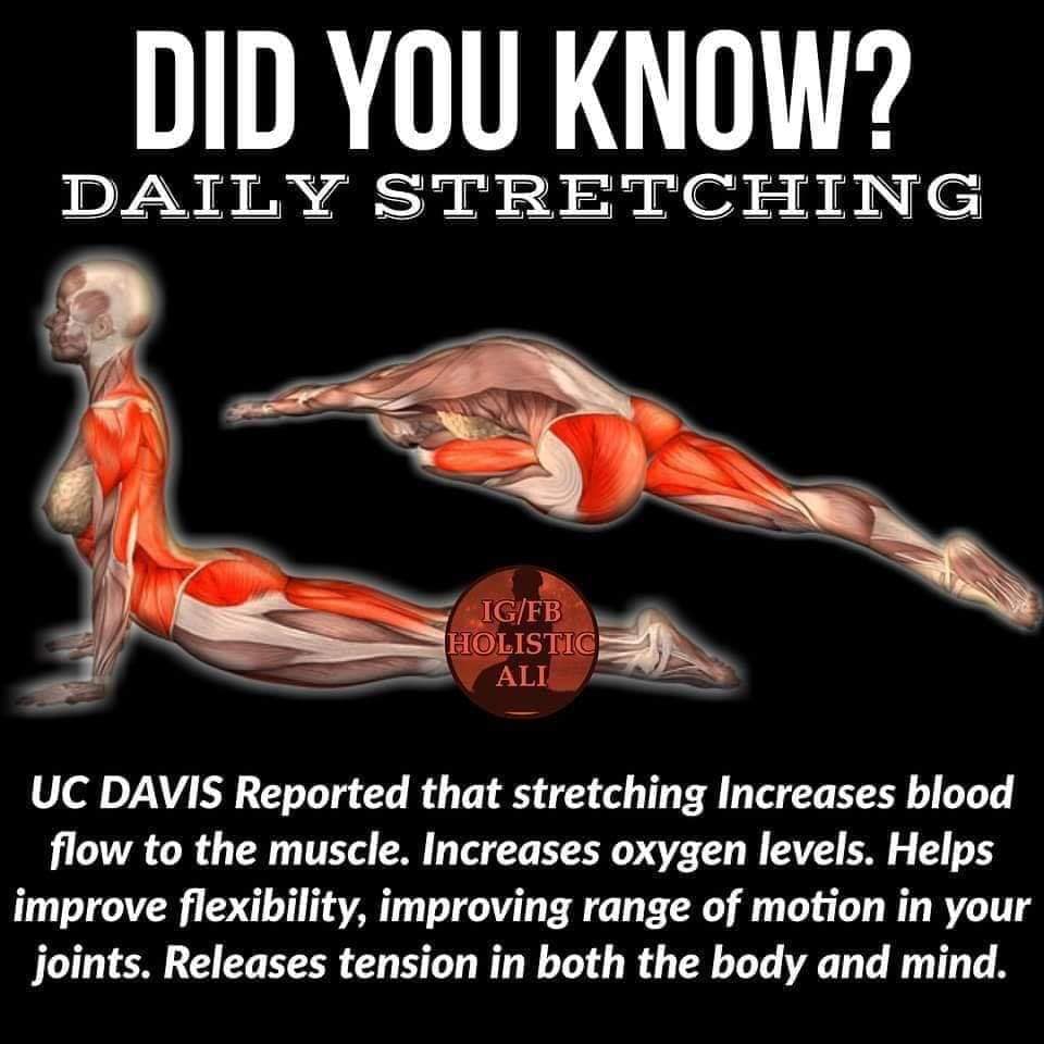 stretches holistic - Did You Know? Daily Stretching IgFb Holistic Ali Uc Davis Reported that stretching Increases blood flow to the muscle. Increases oxygen levels. Helps improve flexibility, improving range of motion in your joints. Releases tension in b