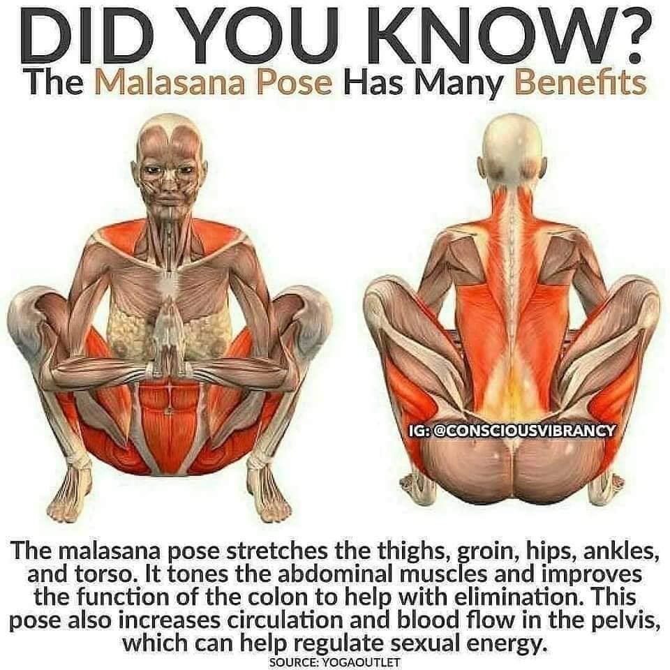 malasana pose - Did You Know? The Malasana Pose Has Many Benefits Ig The malasana pose stretches the thighs, groin, hips, ankles, and torso. It tones the abdominal muscles and improves the function of the colon to help with elimination. This pose also inc