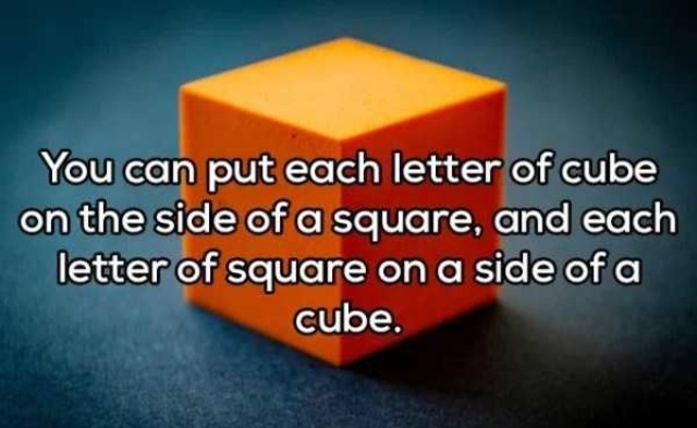 shower thoughts - You can put each letter of cube on the side of a square, and each letter of square on a side of a cube.