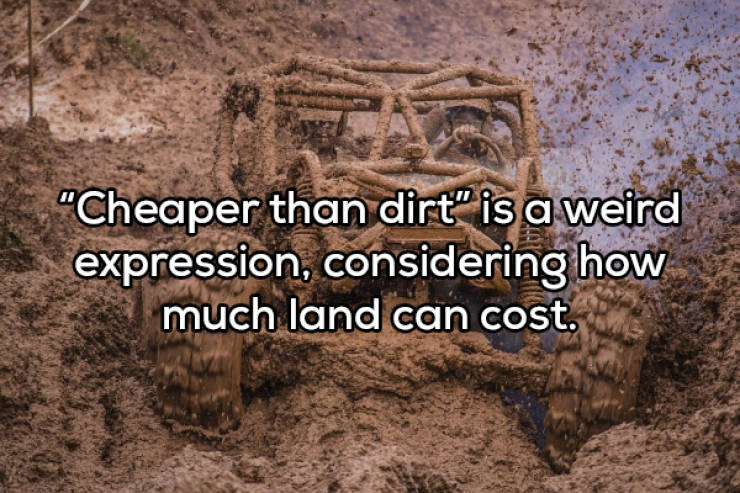 somogybabod 2019 - "Cheaper than dirt" is a weird expression, considering how much land can cost.