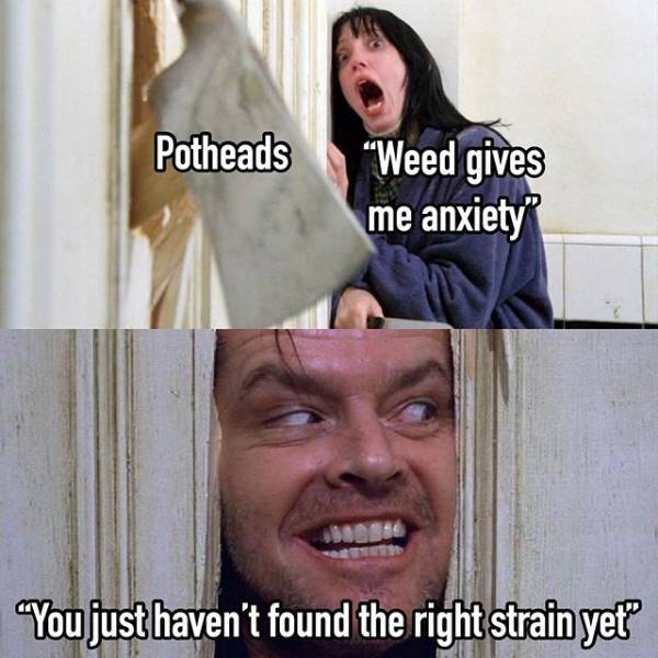 heres johnny 5 - Potheads Weed gives me anxiety You just haven't found the right strain yet