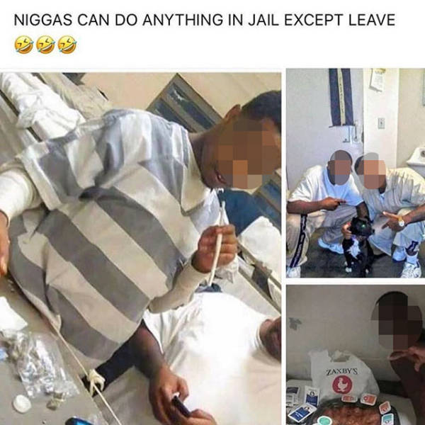 niggas can do anything in prison - Niggas Can Do Anything In Jail Except Leave Zaxby'S