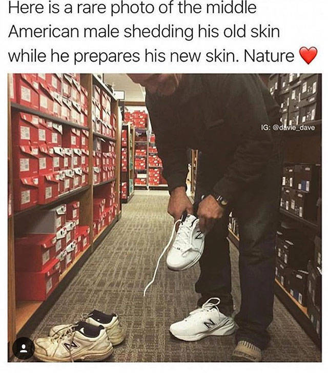 old man new balance meme - Here is a rare photo of the middle American male shedding his old skin while he prepares his new skin. Nature Ig