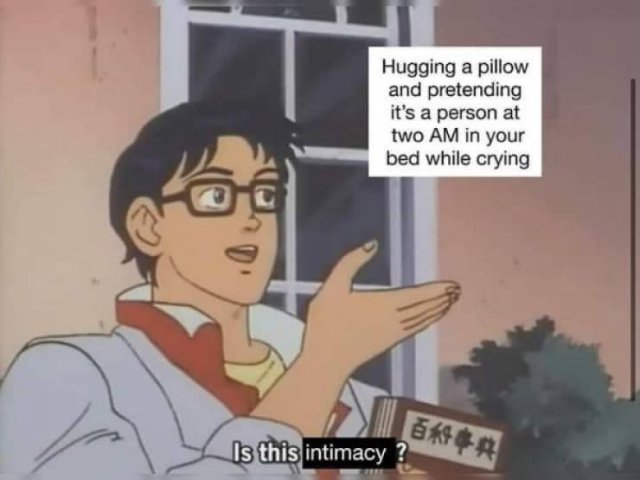pigeon trap meme - Hugging a pillow and pretending it's a person at two Am in your bed while crying Is this intimacy ?