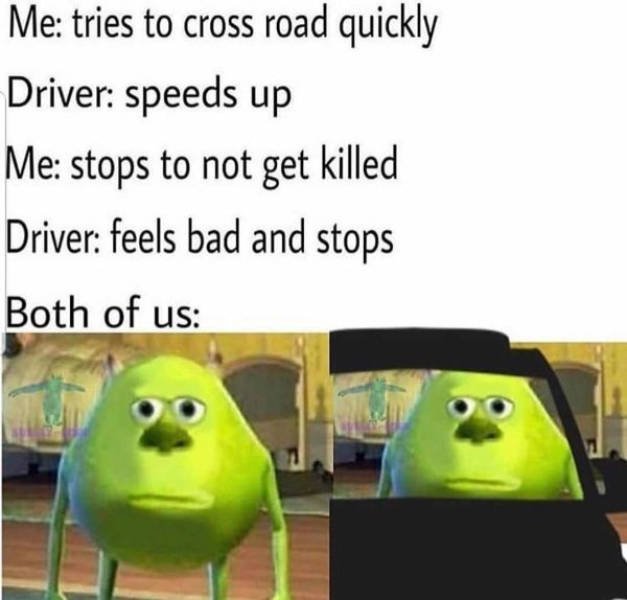 mike with sully face - Me tries to cross road quickly Driver speeds up Me stops to not get killed Driver feels bad and stops Both of us