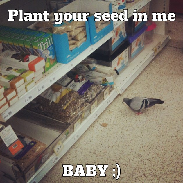 Planting seeds :)