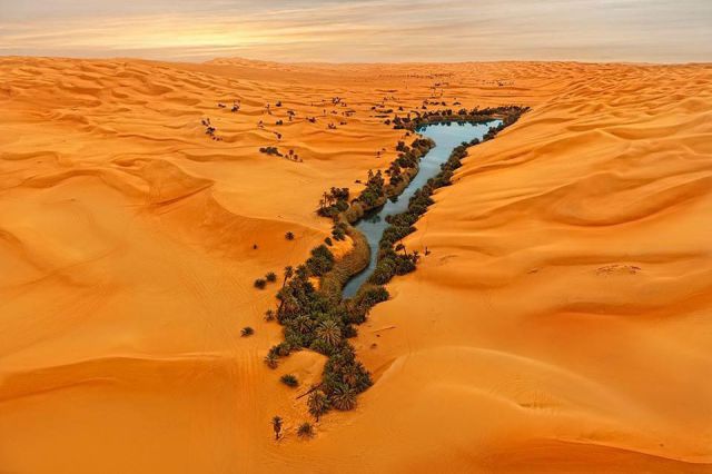 Oasis in Libyia