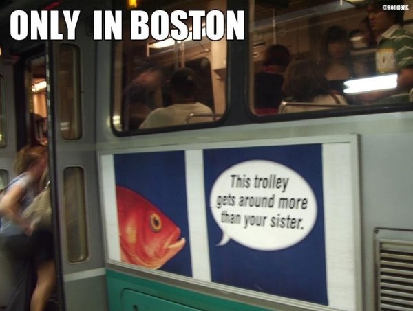 boston funny meme - GRenderk Only In Boston This trolley gets around more than your sister.