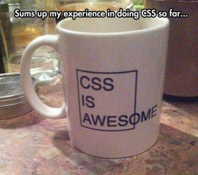 developer humor - Sums up my experience in doing Css so far... Css Awesome
